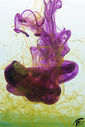 Filename=6bis.jpg
Filesize=320KiB
Dimensions=394x588
Date added=Dec 05, 2020 6bis.jpg