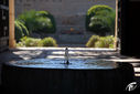DSC_0085.jpg